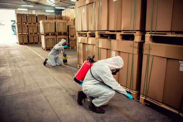 Best Emergency Pest Control  in Edmond, OK