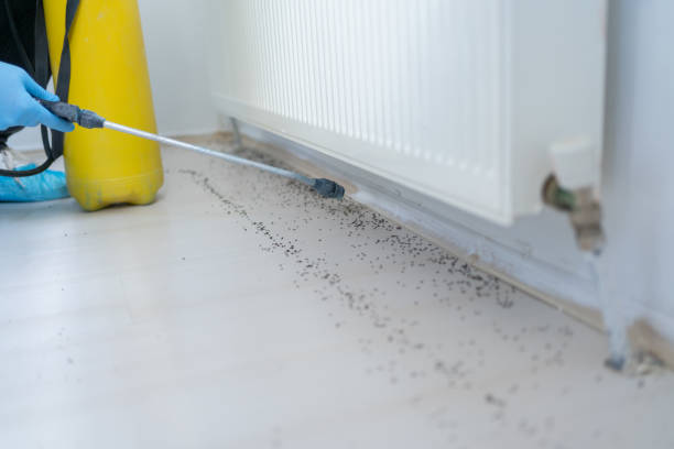Reliable Edmond, OK Pest Control Solutions